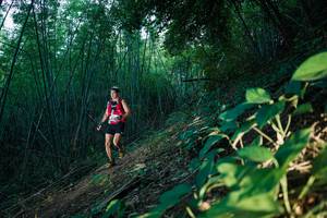 BIB: 
                            <button type="button" onclick="openModal(28124333)" class="btn btn-primary btn-sm float-right btn-popup" data-toggle="modal" data-target=".modal-high-quality">
                        <i class="fas fa-shopping-cart"></i> Add to Cart
                    </button>
                                            <button type="button" onclick="isThisMe(28124333, true)" class="btn btn-success btn-sm float-right btn-popup btn-isme hidden" data-toggle="tooltip" data-placement="bottom" title="นี่คือรูปของคุณใช่ไหม คลิกที่นี่เพื่อเอาเข้าอัลบั้ม">
                        <i class="fas fa-plus"></i> Add to album
                    </button>
                    <button type="button" onclick="isThisMe(28124333, false)" class="btn btn-warning btn-sm float-right btn-popup btn-isnotme hidden">
                        <i class="fas fa-ban"></i> Remove from album
                    </button>